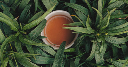 100 % økologisk te